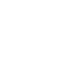 Sybrin Developer Tools